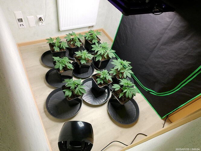 Growreport Bild 4