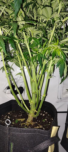 IMG_20221126_213551