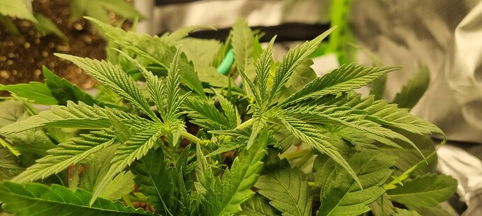 Growreport Bild 10