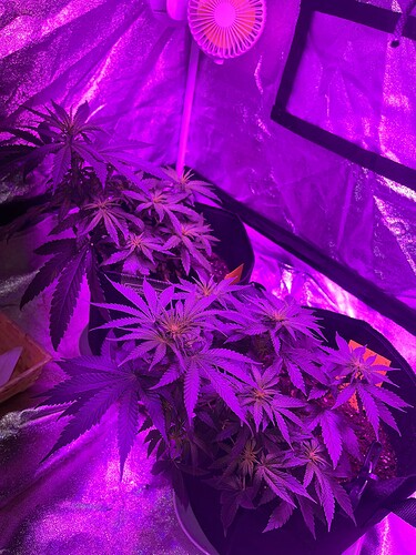 Growreport Bild 22