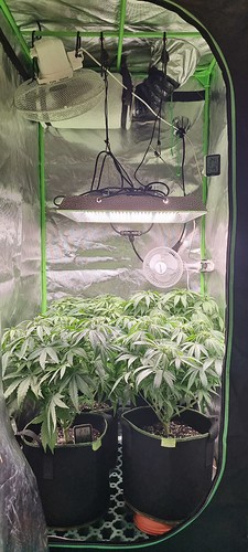 Growreport Bild 20
