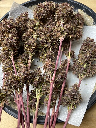 Growreport Bild 13