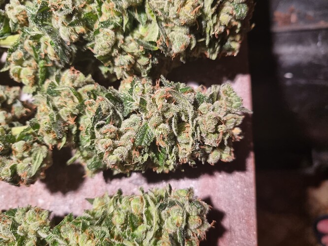 Growreport Bild 11