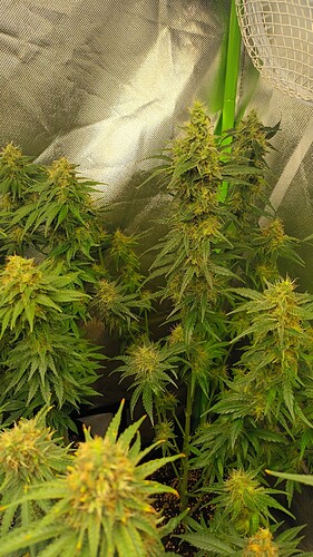 Growreport Bild 14
