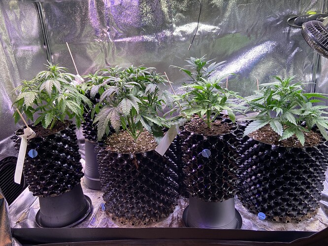 Growreport Bild 1