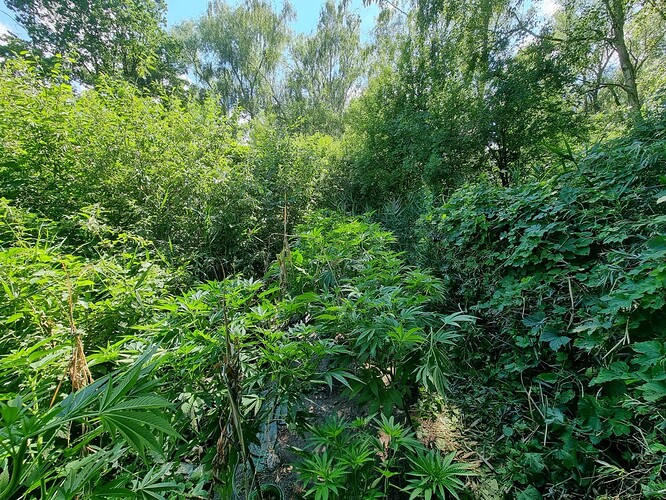 Growreport Bild 9