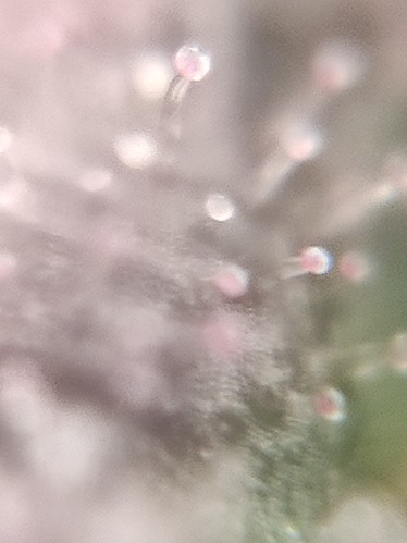 Growreport Bild 22