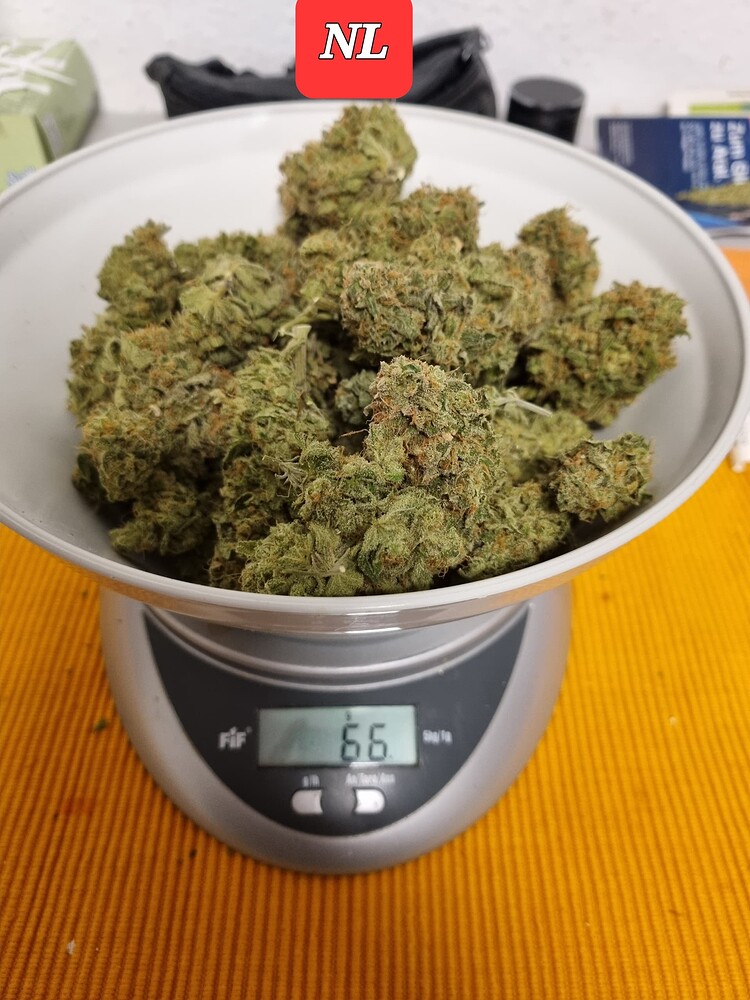 *Neu* HESI Grow Erde Substrat mineralisch+Düngerpalette, NL+LSD Seeds, mainlining, +Cojones grandes...
