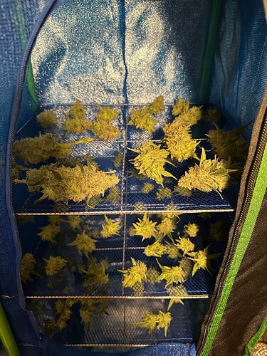 Growreport Bild 20