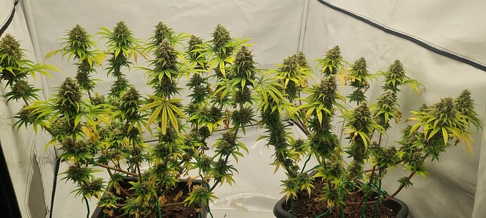 Growreport Bild 10