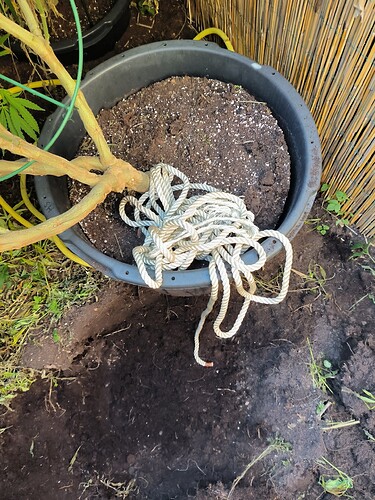Growreport Bild 5