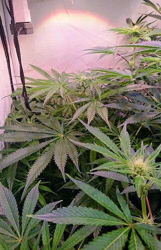 Growreport Bild 10