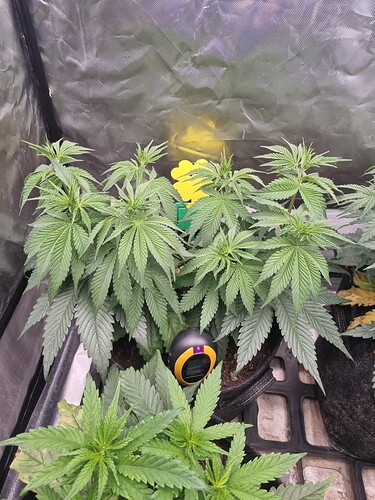 Growreport Bild 18