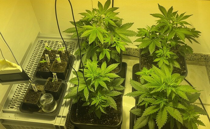 Growreport Bild 10