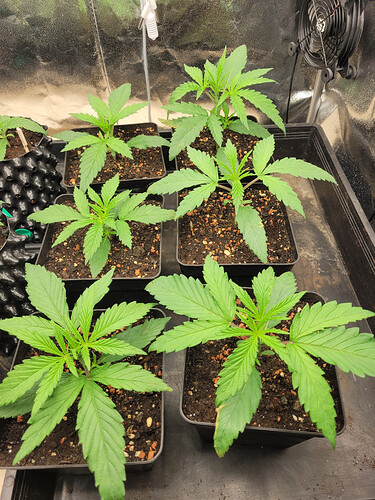 Growreport Bild 14