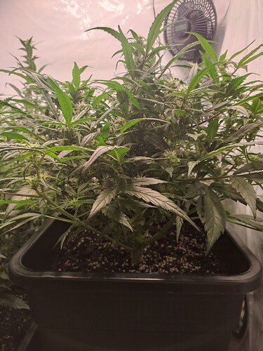 Growreport Bild 9