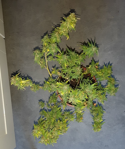 Growreport Bild 8