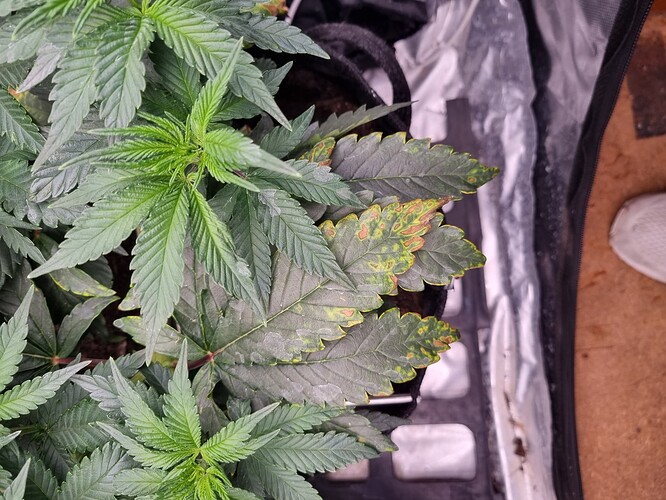 Growreport Bild 26