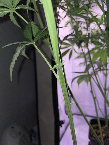 Growreport Bild 4