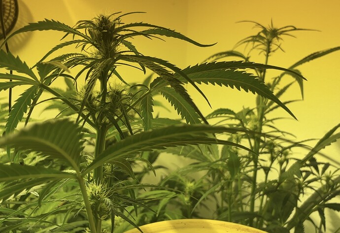 Growreport Bild 23