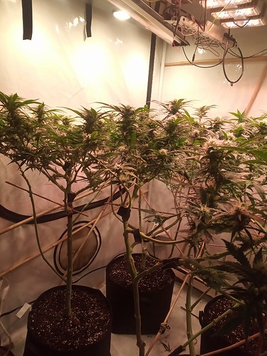 IMG_20210314_221348_593