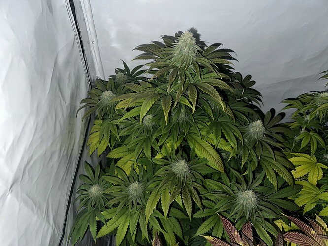 Growreport Bild 14