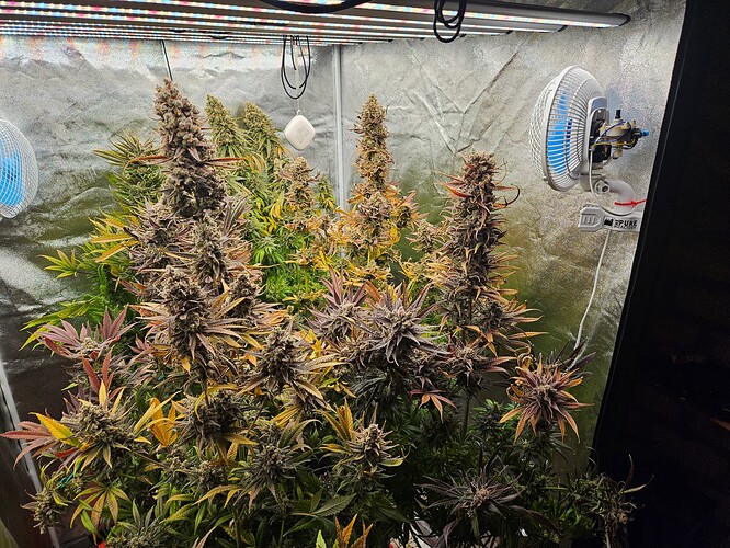 Growreport Bild 21