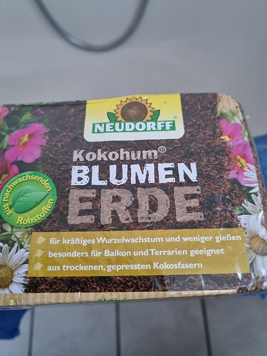 Growreport Bild 2