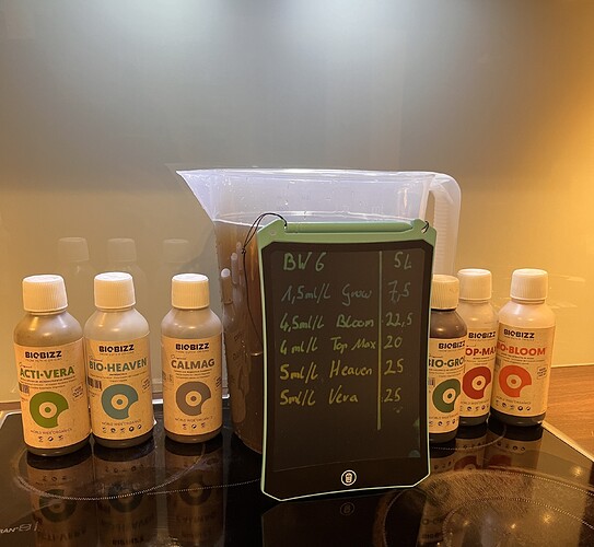 Growreport Bild 5