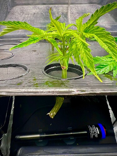 Growreport Bild 10