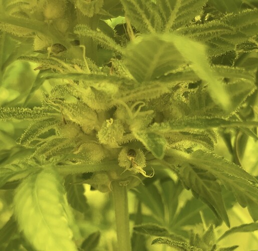 Growreport Bild 6