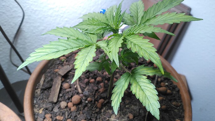 Growreport Bild 5