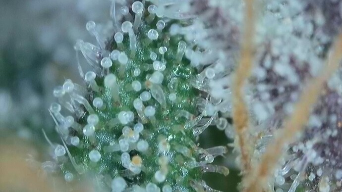 2022-06-25-032637023