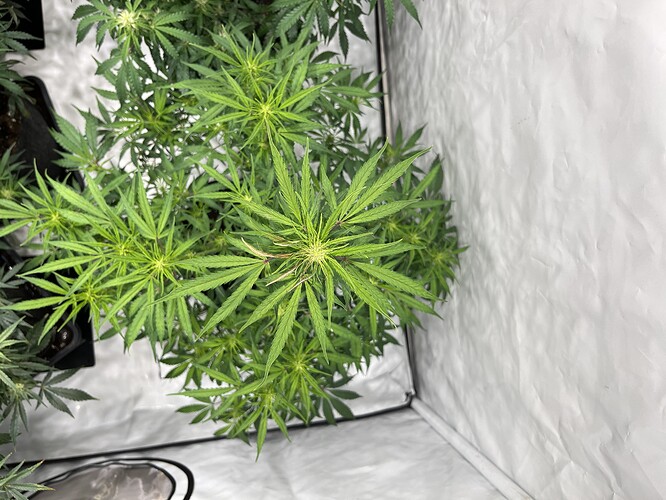 Growreport Bild 28