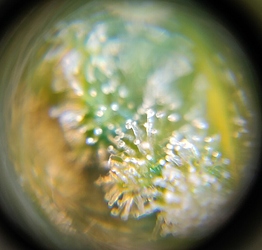 Growreport Bild 11