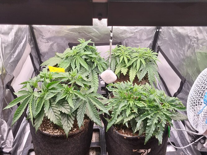 Growreport Bild 17