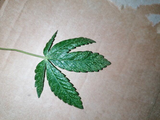 Growreport Bild 9