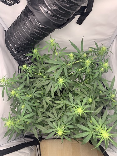 Growreport Bild 16