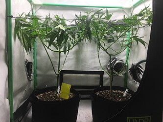 Growreport Bild 23
