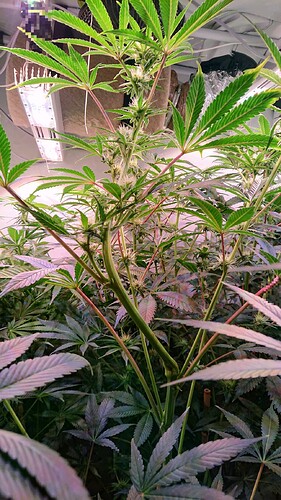 Growreport Bild 7