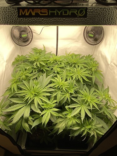 Growreport Bild 6