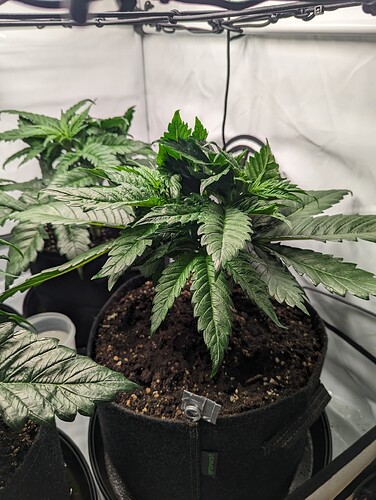 PXL_20231124_140351610