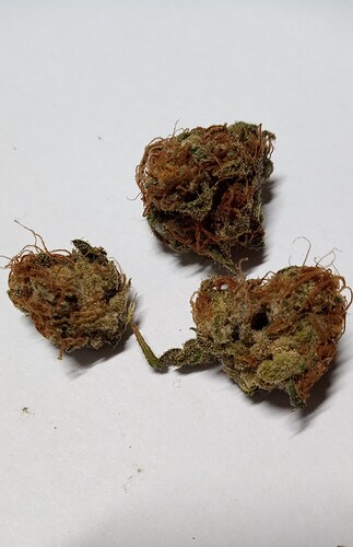 Growreport Bild 3
