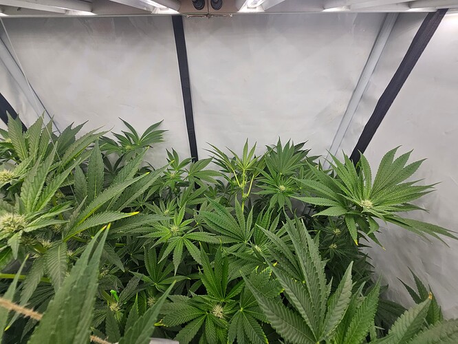Growreport Bild 7