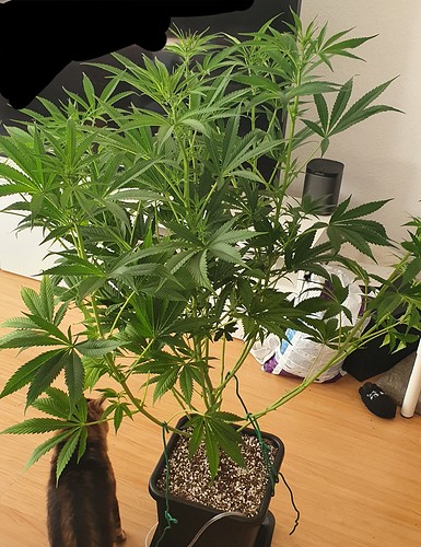 Growreport Bild 3