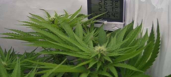 Growreport Bild 6