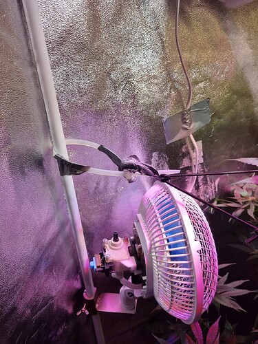 Growreport Bild 9