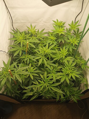 Growreport Bild 14