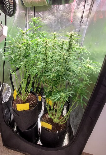 Growreport Bild 8