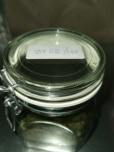 Growreport Bild 19